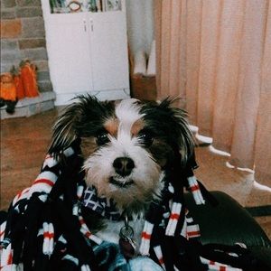 Meet your Posher, Kylee